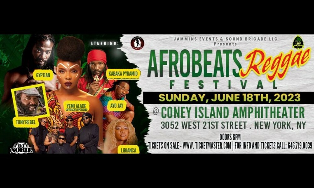 Afrobeats Reggae Festival Live Concert